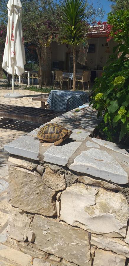 Guest House Solive Himare Bagian luar foto
