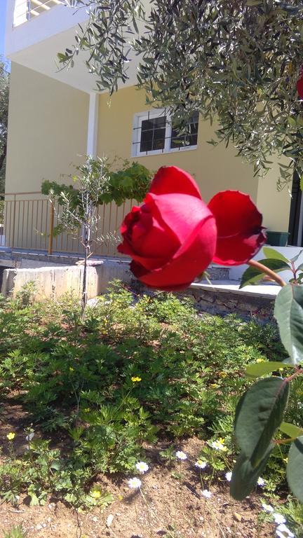 Guest House Solive Himare Bagian luar foto