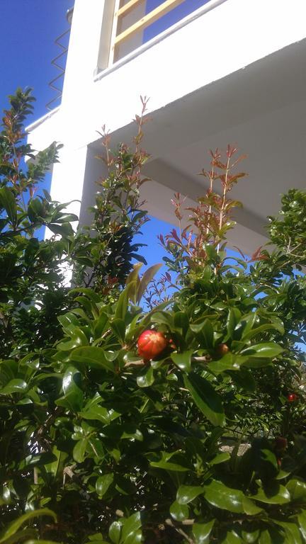 Guest House Solive Himare Bagian luar foto